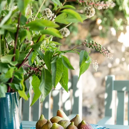 Villa Kövirigó Családi Birtok *