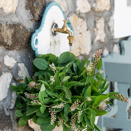 Villa Kövirigó Családi Birtok