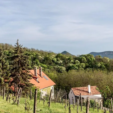 Kövirigó Családi Birtok Villa *