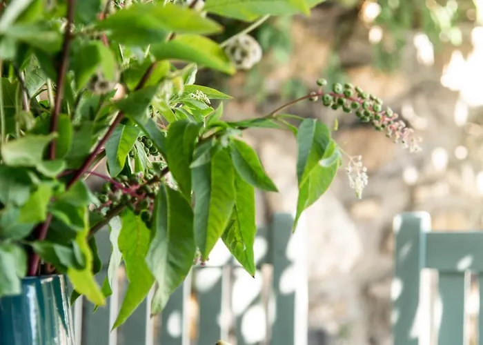 Villa Koevirigo Csaladi Birtok *