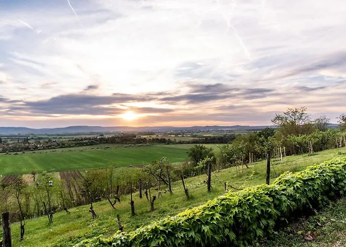 Villa Koevirigo Csaladi Birtok