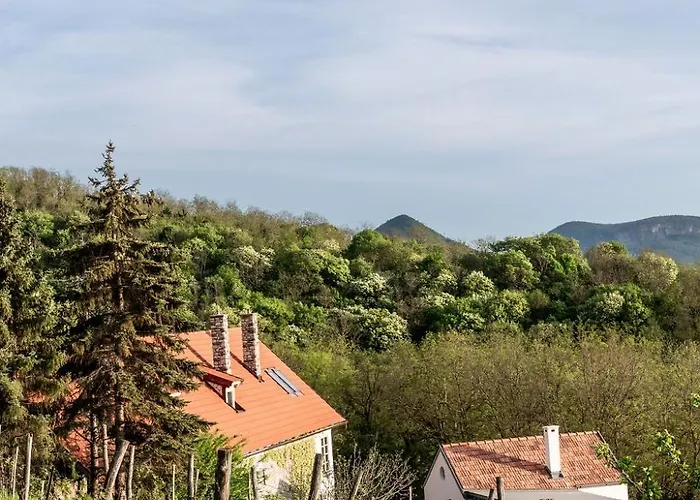 Koevirigo Csaladi Birtok Villa *